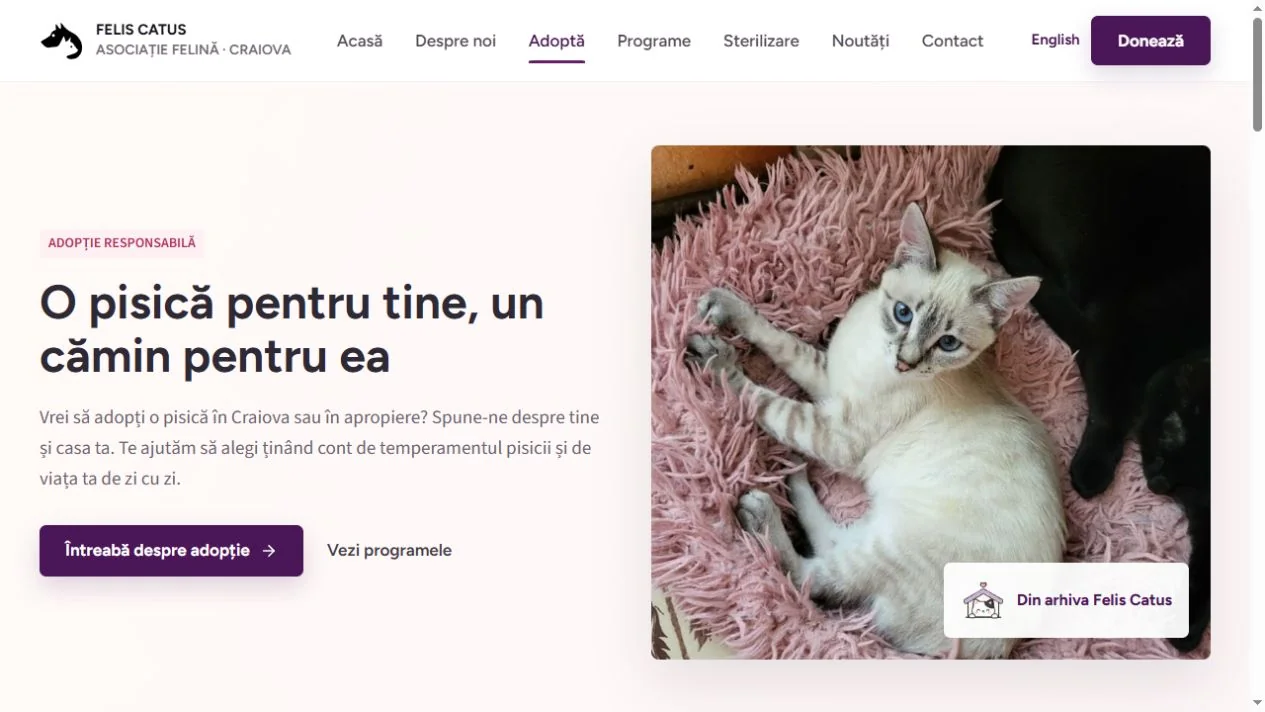 Felis Catus: Pagina de adopții
