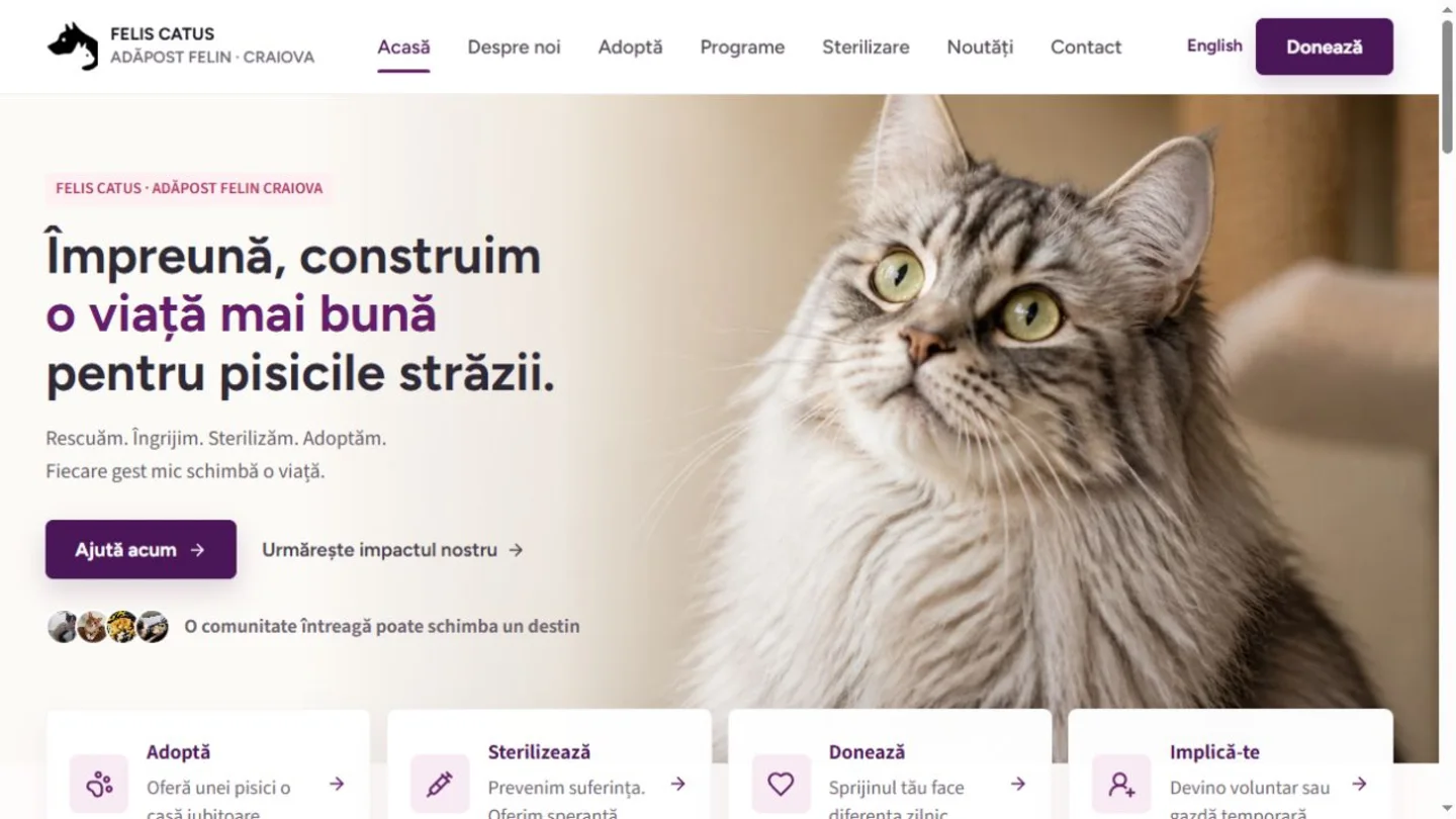 Pagina Felis Catus despre adopții și sprijin pentru adăpost